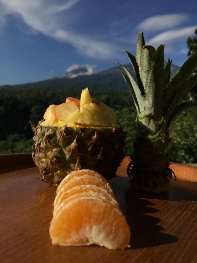 Hotel Rinjani Houseboon Senaru Exterior foto